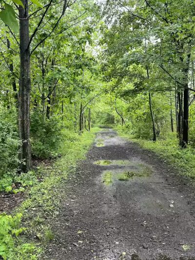 Pat Dolan Trail - Forest Hills, NY