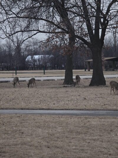 Miller Meadow Off-Leash Dog Area - Forest Park, IL