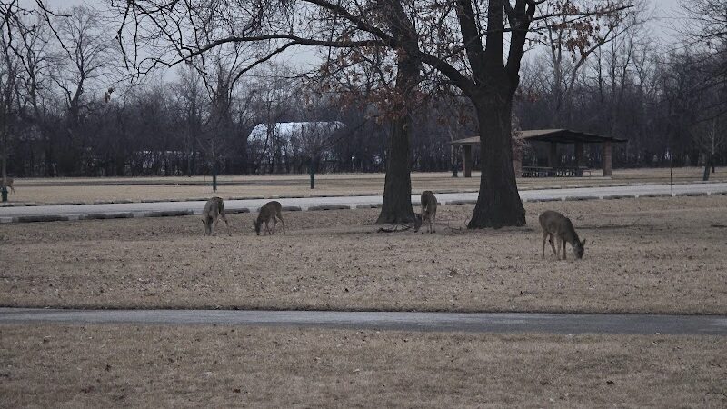 Miller Meadow Off-Leash Dog Area - Forest Park, IL