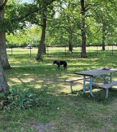 Miller Meadow Off-Leash Dog Area - Forest Park, IL