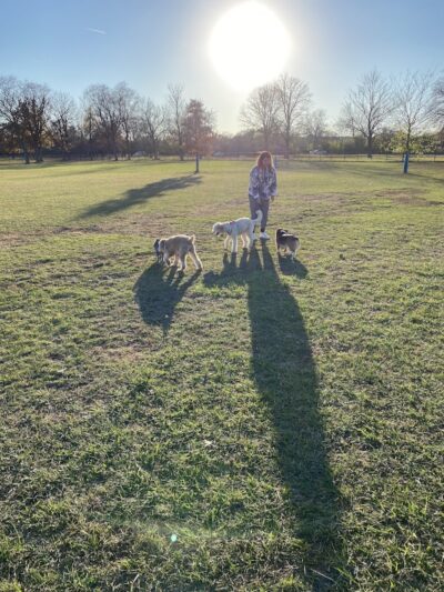 Miller Meadow Off-Leash Dog Area - Forest Park, IL