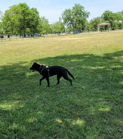 Miller Meadow Off-Leash Dog Area - Forest Park, IL