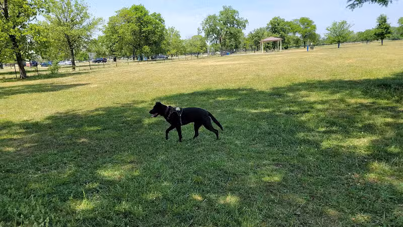 Miller Meadow Off-Leash Dog Area - Forest Park, IL