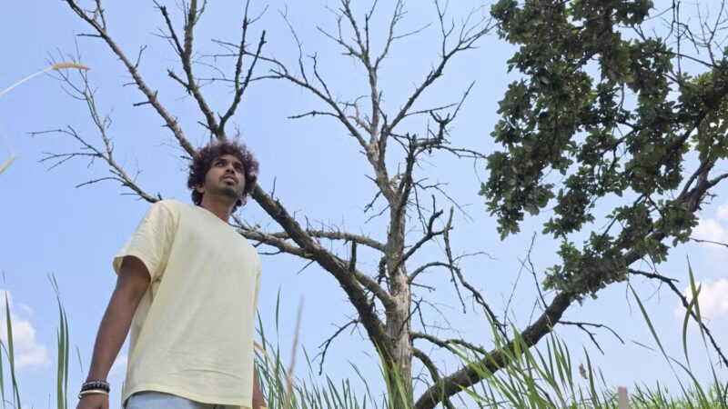 Miller Meadow Off-Leash Dog Area - Forest Park, IL