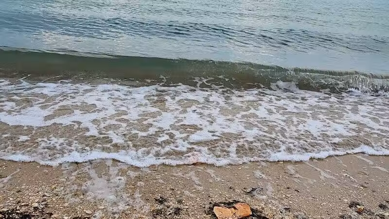 Harbour Pointe Park - Fort Pierce, FL