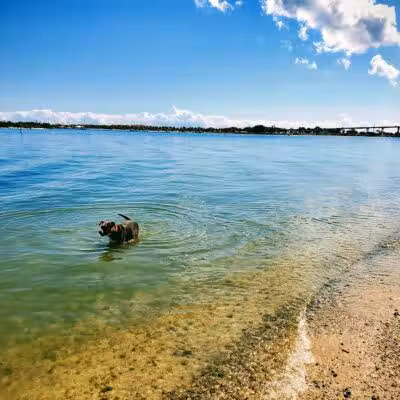 Harbour Pointe Park - Fort Pierce, FL