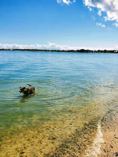 Harbour Pointe Park - Fort Pierce, FL