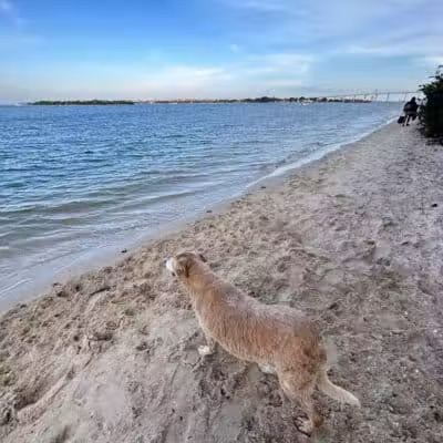 Harbour Pointe Park - Fort Pierce, FL