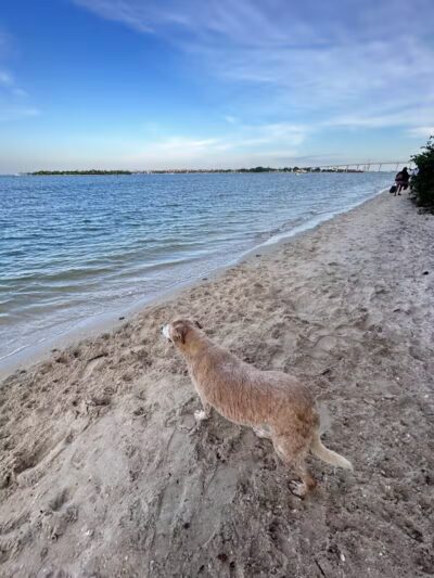 Harbour Pointe Park - Fort Pierce, FL