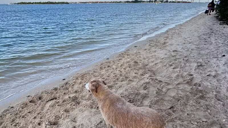 Harbour Pointe Park - Fort Pierce, FL