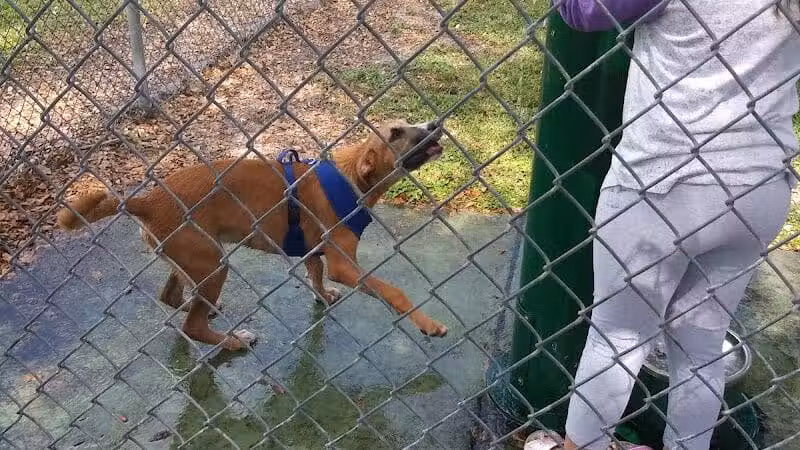 MARVILLA Dog Park - Fort Pierce, FL