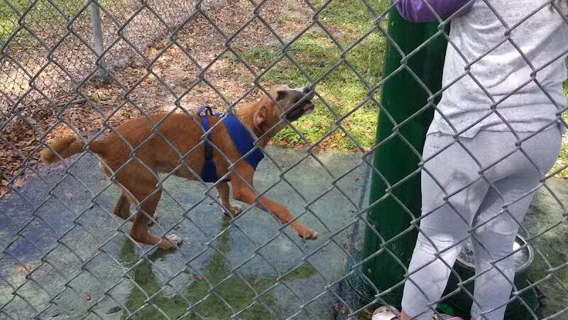 MARVILLA Dog Park - Fort Pierce, FL