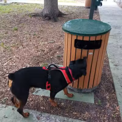 MARVILLA Dog Park - Fort Pierce, FL
