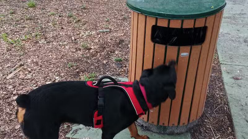 MARVILLA Dog Park - Fort Pierce, FL