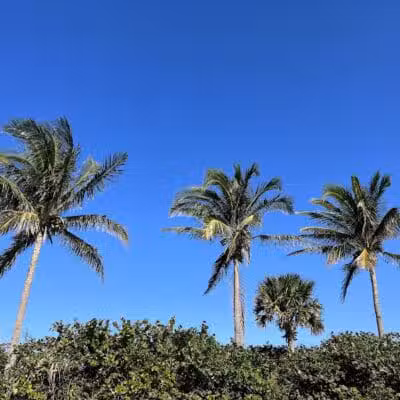 South Beach Park - Fort Pierce, FL