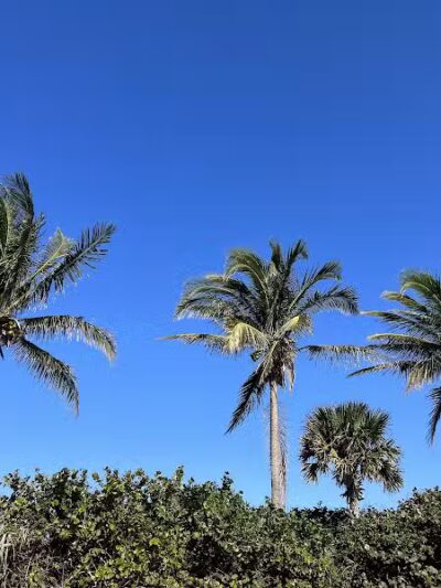 South Beach Park - Fort Pierce, FL