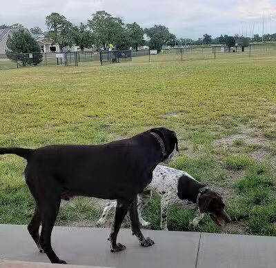 Bark Park - Fort Riley, KS