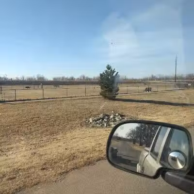 Bark Park - Fort Riley, KS