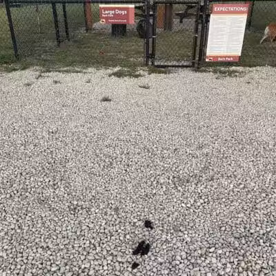 Bark Park - Fort Riley, KS
