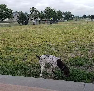 Bark Park - Fort Riley, KS