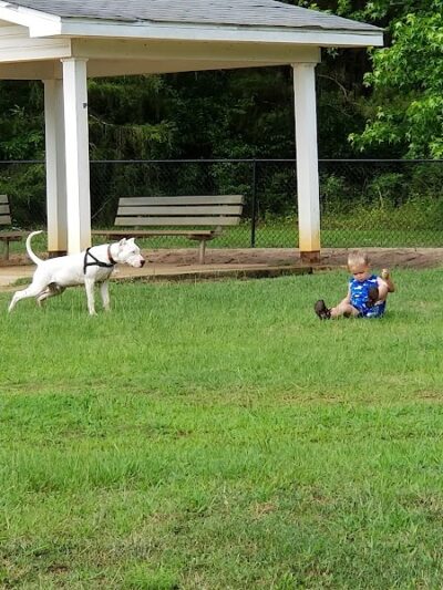 Fort Novosel Bark Park - Fort Rucker, AL