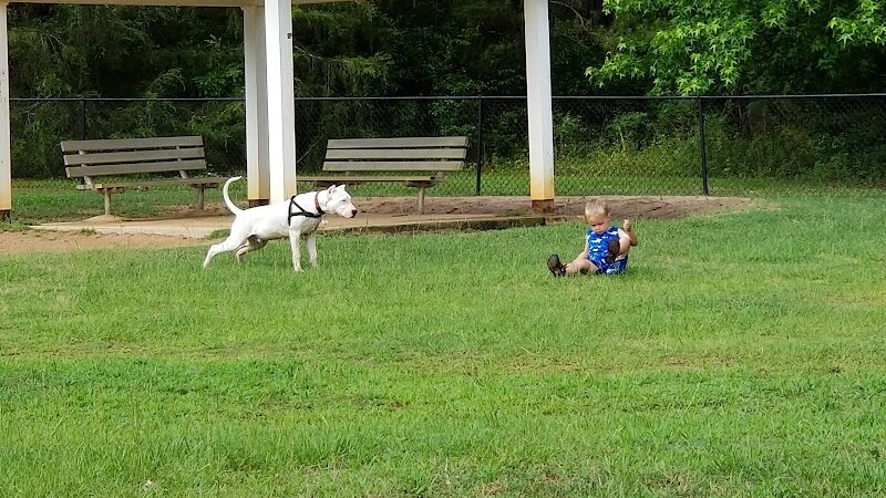 Fort Novosel Bark Park - Fort Rucker, AL