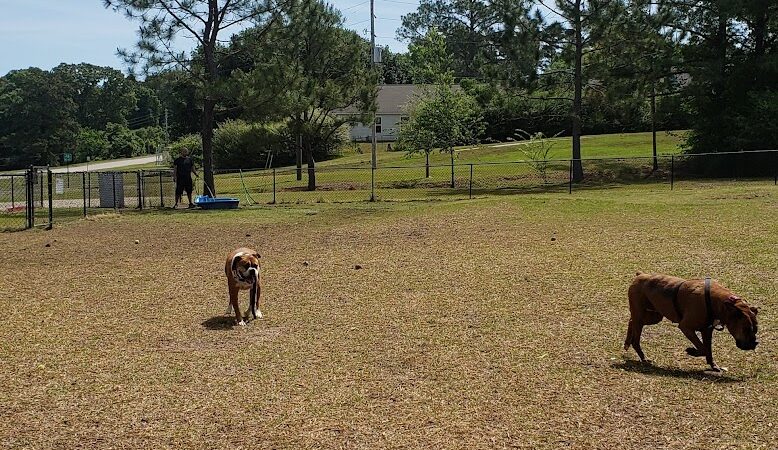 Fort Novosel Bark Park - Fort Rucker, AL