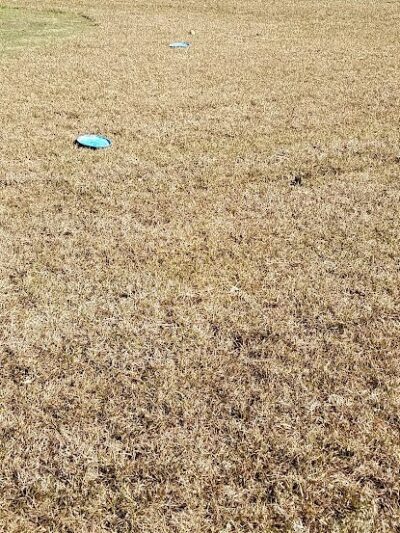 Fort Novosel Bark Park - Fort Rucker, AL