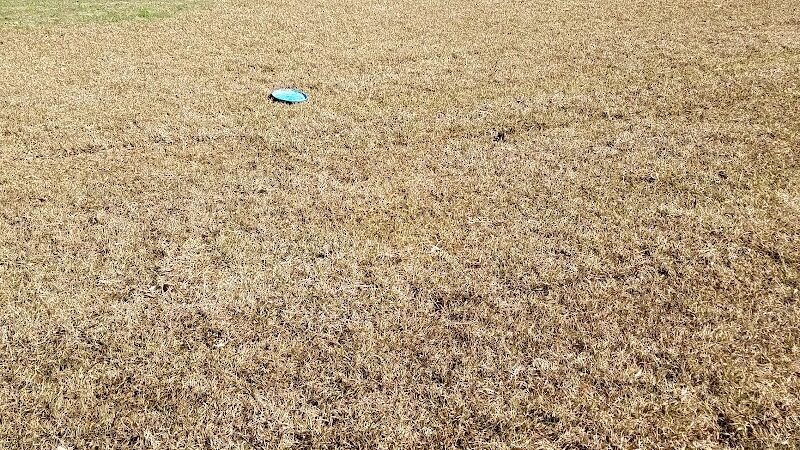 Fort Novosel Bark Park - Fort Rucker, AL