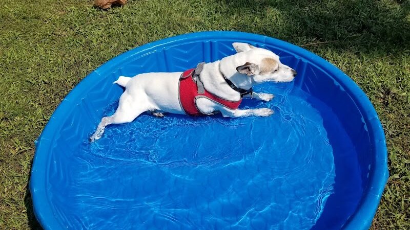 Fort Novosel Bark Park - Fort Rucker, AL