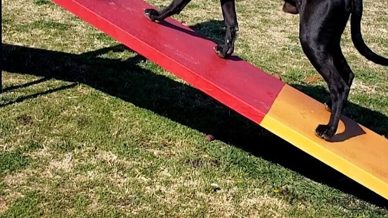 Silliman Dog Park - Fort Stockton, TX