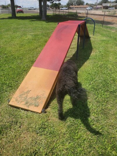 Silliman Dog Park - Fort Stockton, TX