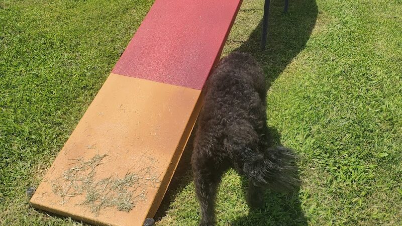 Silliman Dog Park - Fort Stockton, TX