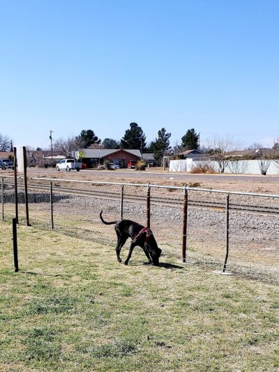 Silliman Dog Park - Fort Stockton, TX