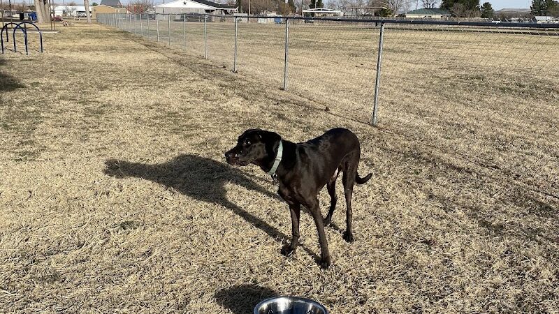 Silliman Dog Park - Fort Stockton, TX