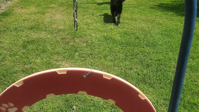 Silliman Dog Park - Fort Stockton, TX