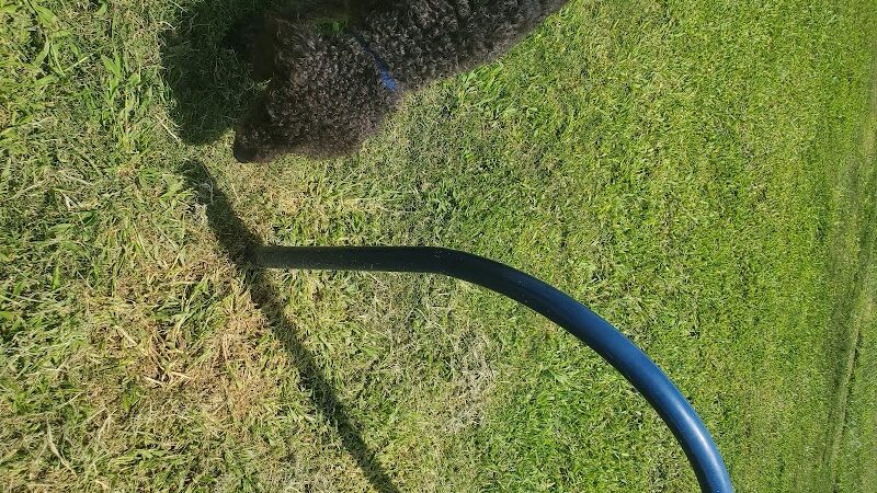 Silliman Dog Park - Fort Stockton, TX