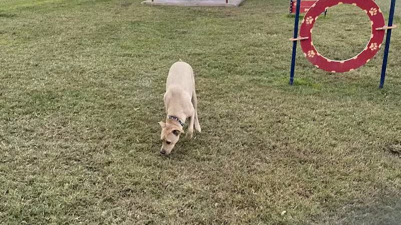 Silliman Dog Park - Fort Stockton, TX