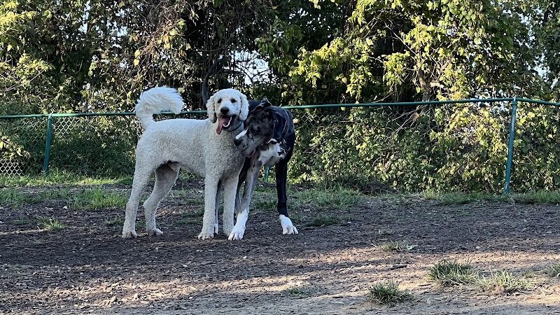 Fort Thomas Dog Park - Fort Thomas, KY