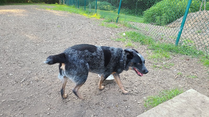 Fort Thomas Dog Park - Fort Thomas, KY