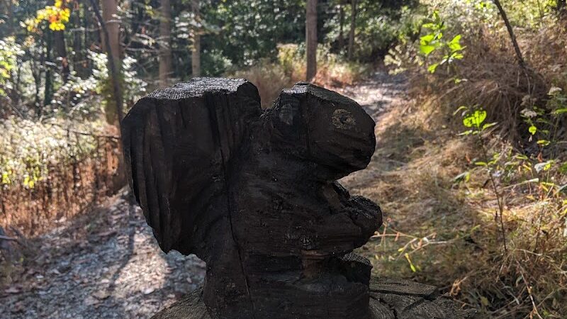 Fort Thomas Dog Park - Fort Thomas, KY