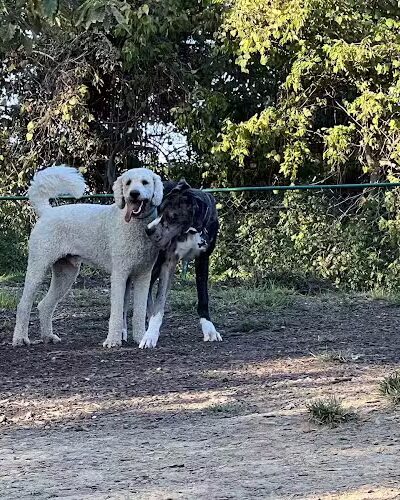 Fort Thomas Dog Park - Fort Thomas, KY