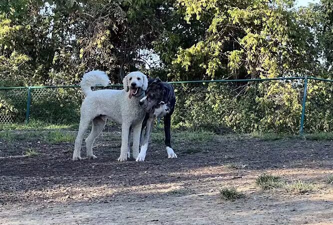 Fort Thomas Dog Park - Fort Thomas, KY