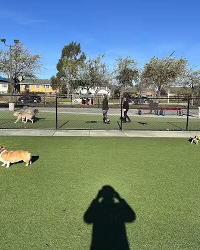 Foster City Dog Park - Foster City, CA