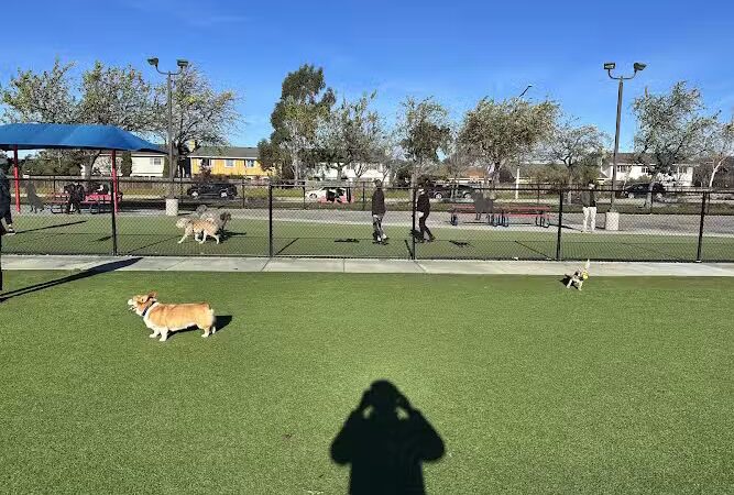 Foster City Dog Park - Foster City, CA
