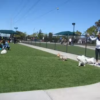 Foster City Dog Park - Foster City, CA