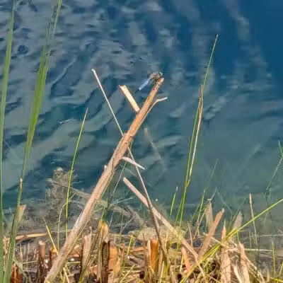 Foundation Park - Fostoria, OH