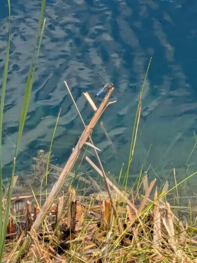 Foundation Park - Fostoria, OH