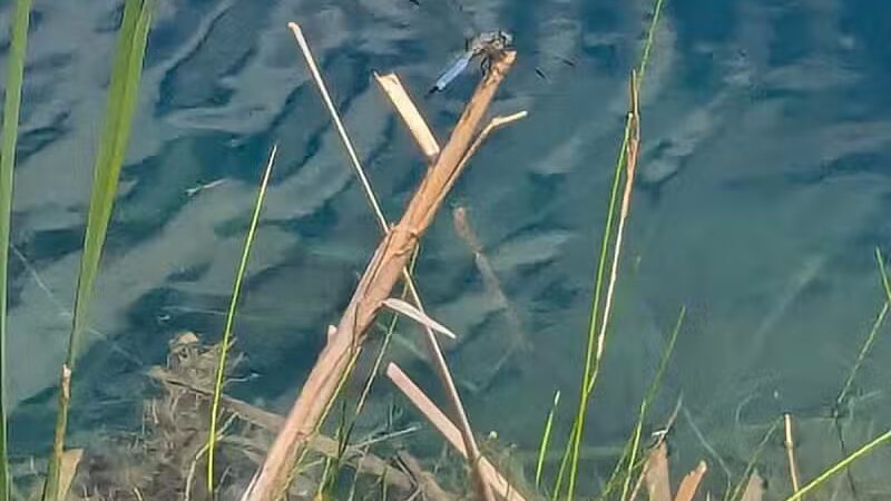 Foundation Park - Fostoria, OH