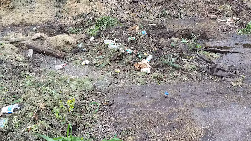 Foundation Park - Fostoria, OH